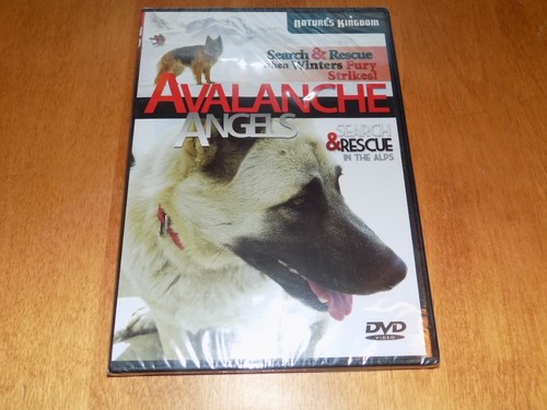 Avalanche angels search - angels,