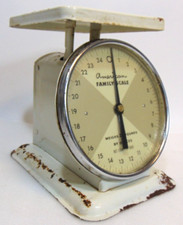 Vintage American Family