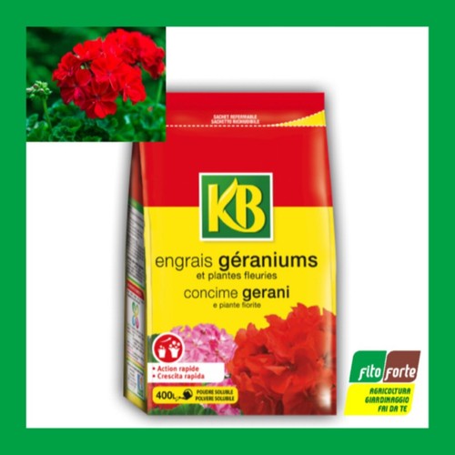 Concime granulare fiori gerani - concime,