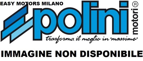 211 0005 testa cilindro polini - testa,