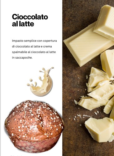 Panettone artigianale - panettone,