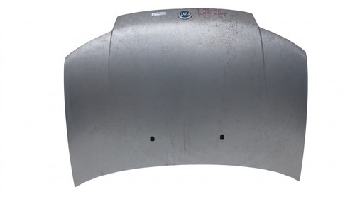 Cofano ant grigio - cofano, fiat