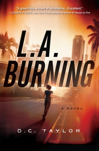 Burning novel by d - burning,