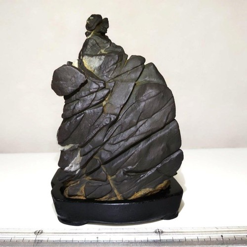 Suiseki bonseki makko - suiseki, pietra