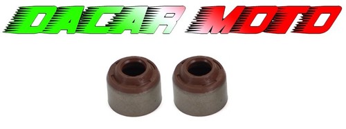 Coppia paraoli valvole yamaha - valvole,