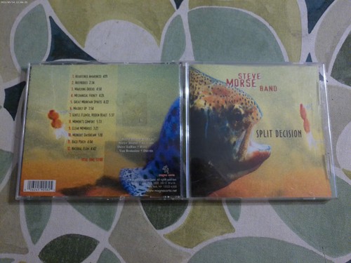 Steve morse band - steve,