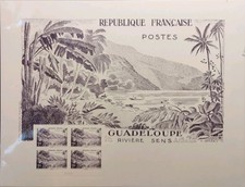 Affiche "Guadeloupe Rivière