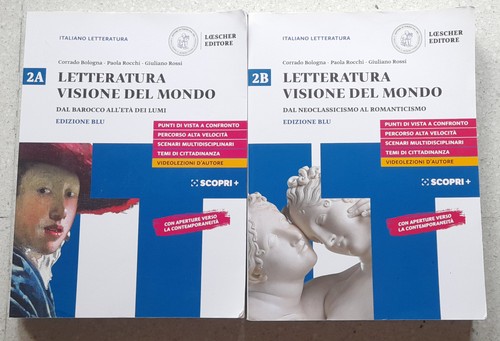Libro doppio letteratura - libro,
