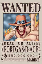 PORTGAS D ACE WANTED ONE PIECE