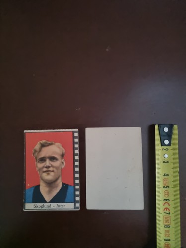 Skoglund inter figurina - skoglund,
