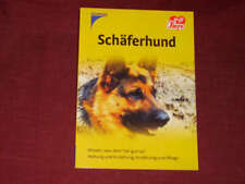 Diverse Schäferhund