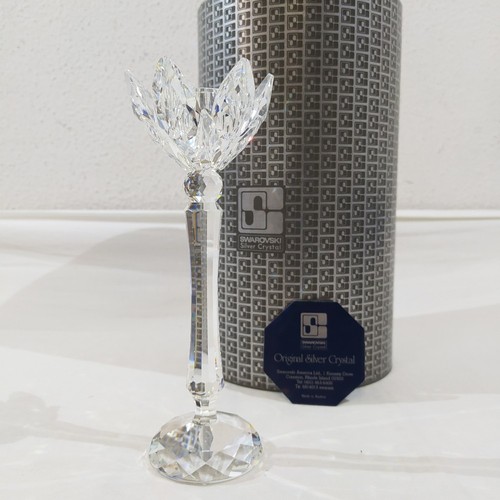 Cristallo swarovski candeliere - swarovski,