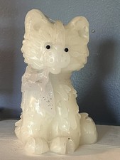 Candela gatto - gattino