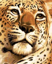 SCHEMA SCHEMI PUNTO CROCE RICAMO QUADRO LEOPARDO LEONE