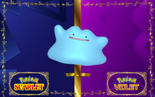 Pokemon Métamorph - Ditto +