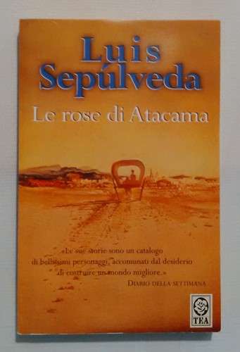 Rose atacama luis - rose,