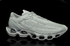 Mizuno wave prophecy - mizuno,