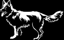 Adesivo PASTORE SVIZZERO -