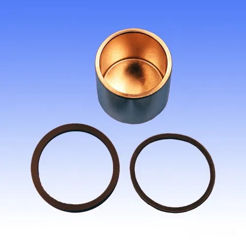 Kit riparazione pistone - , pinza