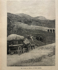 Illustrazione stampa originale