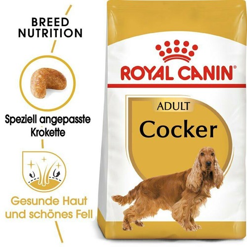 Royal canin cocker adult - cocker, cibo