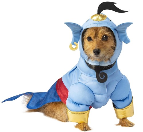 Costume genio disney aladino - costume,