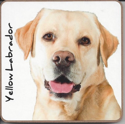 Sottobicchiere per cani - , o