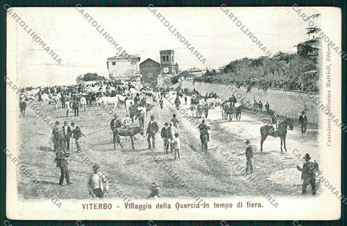 Viterbo città mercato - città,