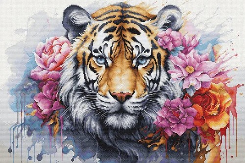 Wild life predator tiger - life,