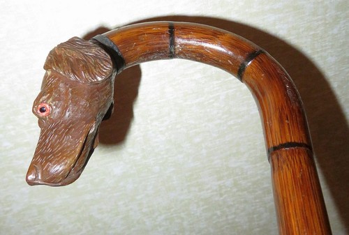 Antica canna bastone da - o,
