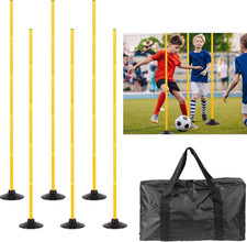 Adjustable Agility Training