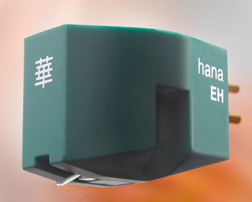 Hana testina mc - mc, alta