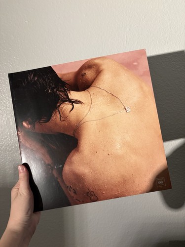 Harry styles self titled vinyl - harry,