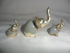 Famigliola di elefanti in