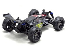 E18XBM Buggy spino 1/18 Himoto