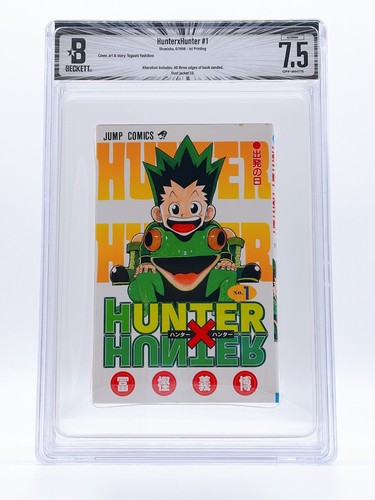 Bgs hunter vol - x,