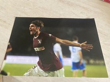 Foto cartonata Torino Rolando