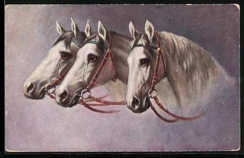Cartolina artistica tre - artistica,