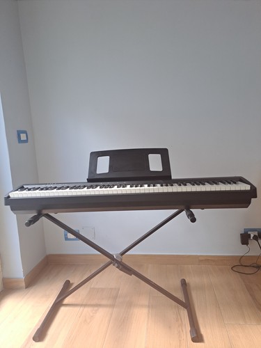 Pianoforte digitale tasti - pianoforte, 88
