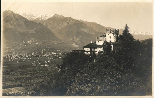 Gatto biella piemonte - gatto, castello