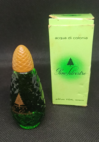Vidal pino silvestre - eau, de