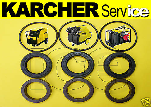 Originale karcher pompa - originale,