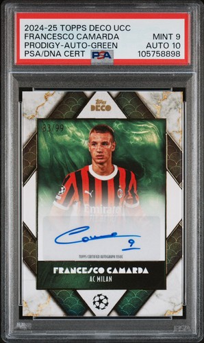 2024 francesco camarda - francesco,