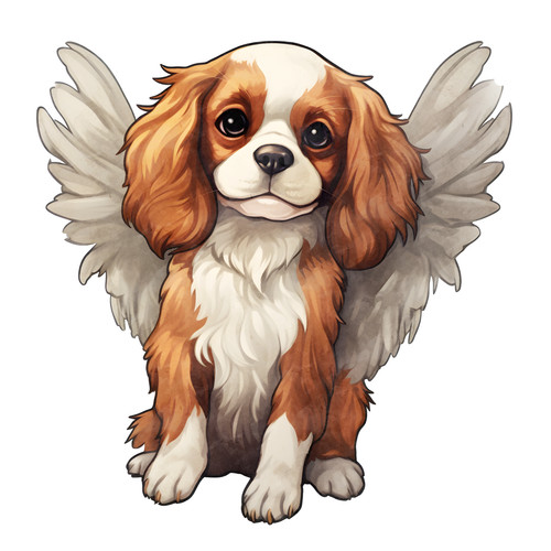 Cavalier king charles cane - king,