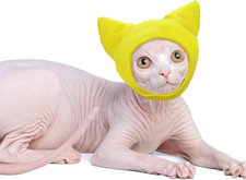 Sphynx - Cappello Protettivo