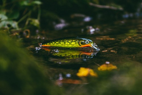 Rapala wobbler rap xr10 - rapala, x-rap