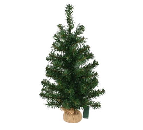 Albero natale con - albero,