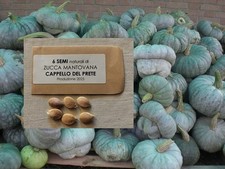 6 SEMI DI ZUCCA MANTOVANA