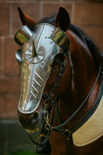 Armatura cavallo medievale - armatura,