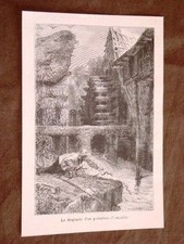 Pescatore di Anguille Pesca